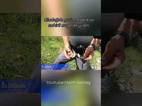 Uludağ Gizli Mağara -Zehirli Yılan