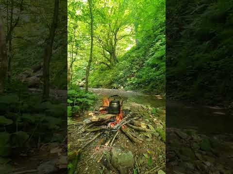 Kara demlik çayı - Kamp Günlükleri