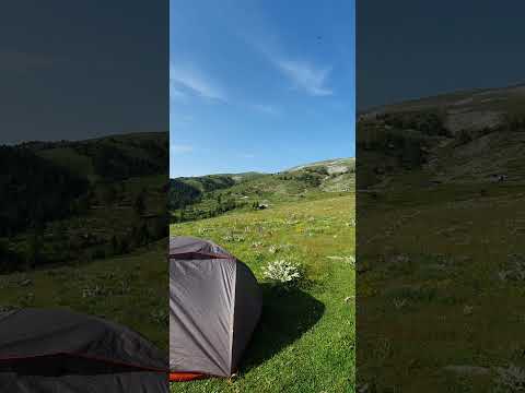 Kamp Günlükleri😍