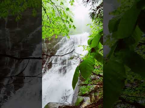 Doğanın Kalbi Uludağda Harika Yolculuk