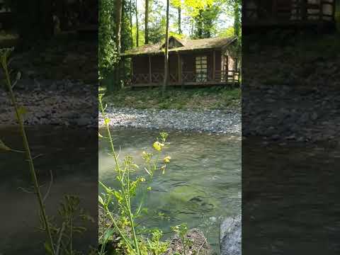 Burada Yaşlanmazsın! Yaşayan Evler