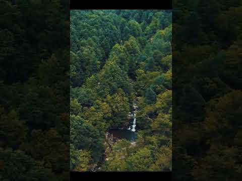 Ormanın Gizli Şelalesi