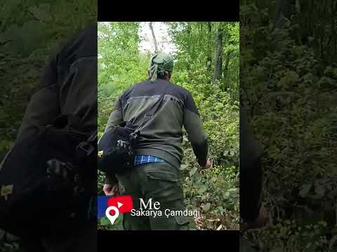 3 Milyon Yıllık Fosil - Bu Ormanın Altı Üstü Çok Zengin