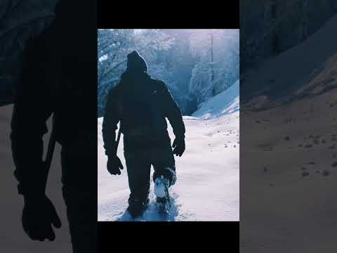 Karlı Ormanda Hayatta Kalma