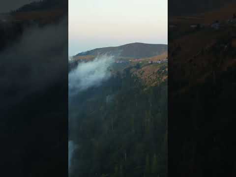 Yaylada Hayatlar -Kardüz Yaylası