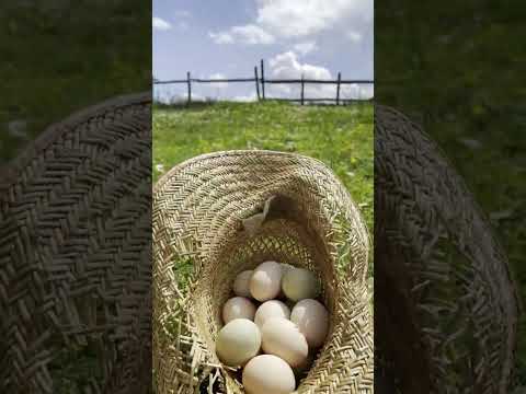 Köy Hayatında Güne Başlamak🌿