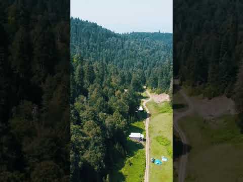 Yayla Cenneti Türkiye 🇹🇷