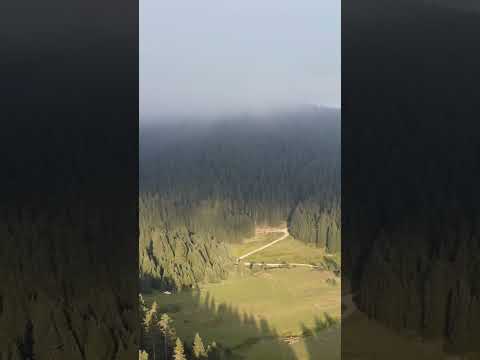 Orman Kampı Nerede Yapılır? Düzce-Kocayayla