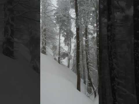 Karda Zorlu Yürüyüş- Uludağ