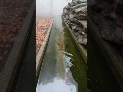 Doğa Severler Listeye Eklesin -Çataldağ Bursa