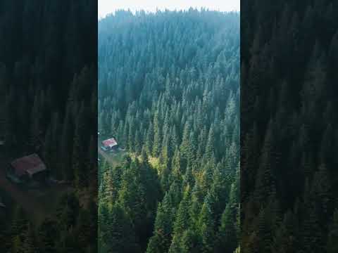 Karadenizin Muhteşem Yaylaları