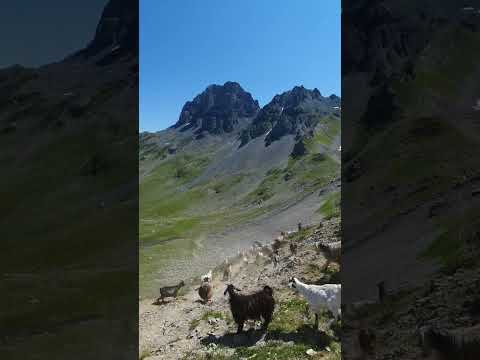 Enerji Veren Yaylalar - Burayı Listeye Ekleyin #Altıparmak