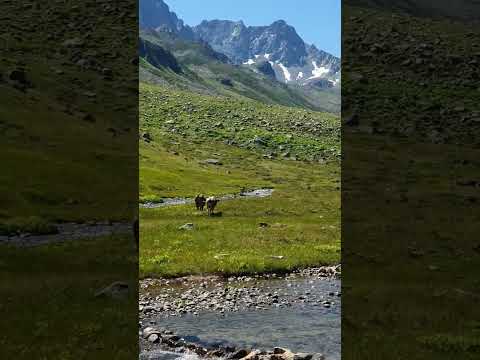 Türkiye'nin Alpleri - Kaçkarlar