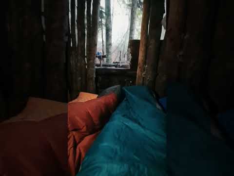 Issız Ormanda Bushcraft Barınak