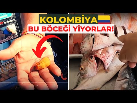 Kolombiya Sokak Pazarı -  Tedavi  İçin Yenen Böcek!