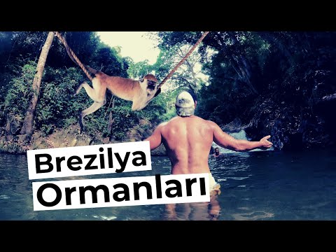 Brezilya Orman Macerası - Minik Maymunlar