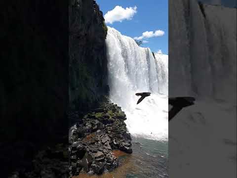 Dünyanın En Büyük Şelalesi