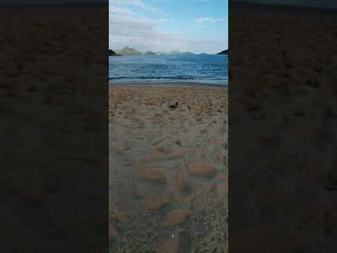 Brezilya'nın En Güzel Yerlerinden - Kesmeşeker Dağı  #sugarloaf