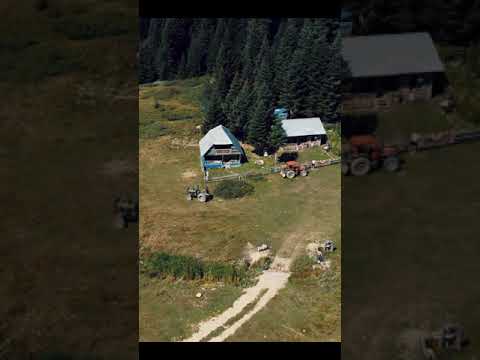 Bolu Yaylaları -Şehirli Yayla (Fragman)