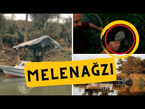 Bir Köpek Bir Tekne Kurtardık - MELENAĞZI