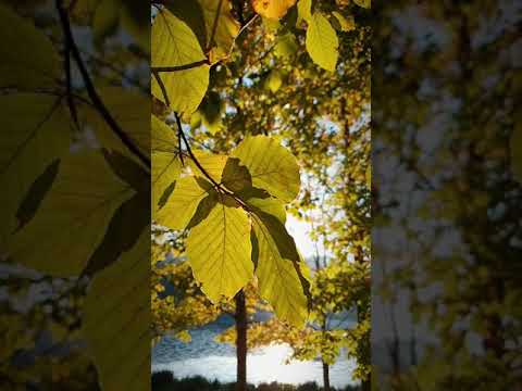 Sonbaharın Büyüsü - Keremali Dağı