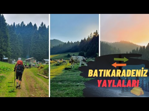 Batıkaradaniz Yaylalarında Muhteşem Rota  -  Torkul - Çavşur - Odayeri Yaylası