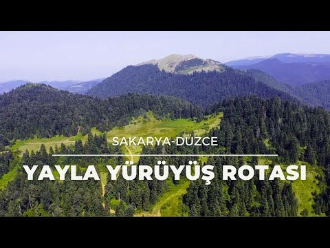 SAKARYADAN DÜZCEYE YÜRÜYÜŞ! (Turnalık-Çiğdem-Beşoluk-Dikmen-Öküzyatağı Yaylası)