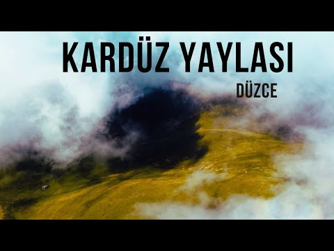 Düzce Kardüz Yaylası Nasıl Bir Yer?
