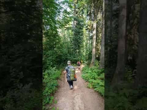 Turnalık Yaylası - Çiğdem Yaylası -Beşoluk Yaylası- Dikmen Zirve