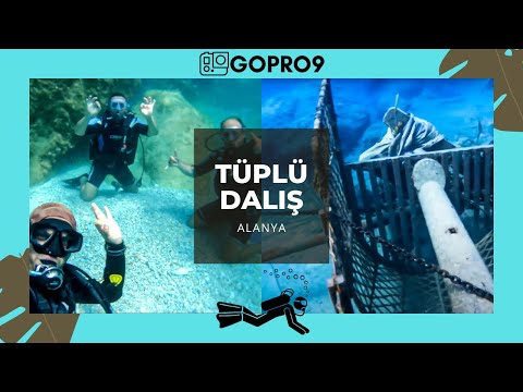 ALANYADA DALIŞ YAPMAK! Batık Tekneyi Görüntüledik