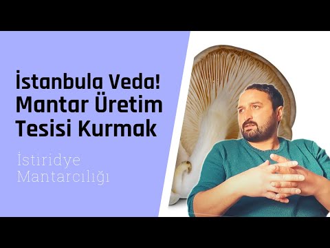 İSTİRİDYE MANTARCILIĞI - (Bu İşe Başlarken Lezzetini Bilmiyordum)