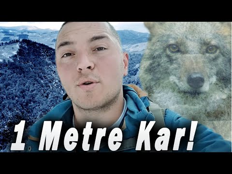 ÇAKALLARA TEŞEKKÜR EDERİM (Harika Dağ Evi Yolculuğu)