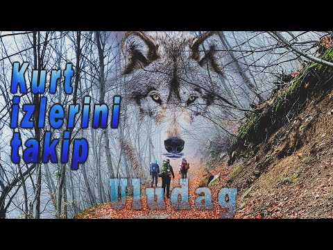 5 GÜNLÜK KIŞ KAMPI - ULUDAĞ (Gököz Göleti- Kocayayla- Kendir Yaylası- Tepel tepe)