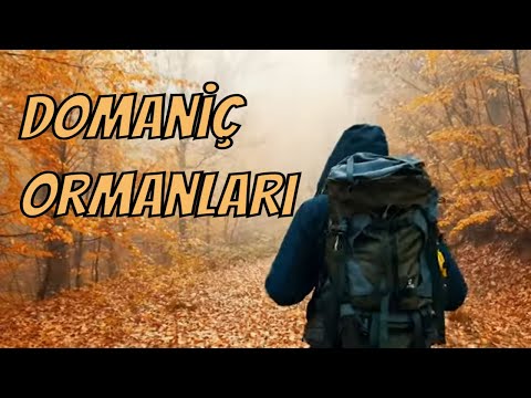 SİS VE BAHARIN HARİKA UYUMU - DOMANİÇ ORMANLARI