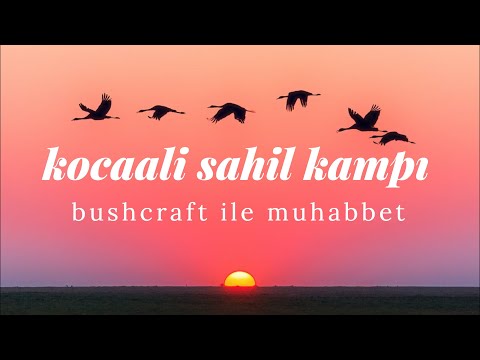 BUSHCRAFT İLE MUHABBET -KOCAALİ SAHİL KAMPI -  YUNUS SAHİLE VURDU!!!
