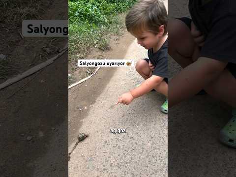 Salyangoz Değil ‘Agigoz’! Minik Çocuğun Komik Uyarısı #shorts