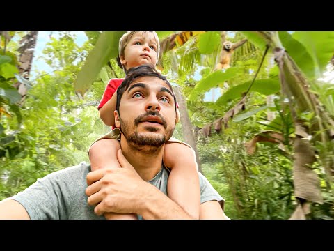 Sri Lanka’da Maymun Peşinde! Gerçek Şoku Eve Dönünce Yaşadık! 🙈