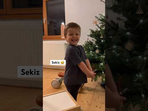 Türkçe Saymayı Öğrendi: ki, uç, pes, ekiz