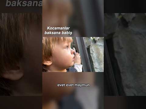 İlk kez hayvanları bu kadar yakından gördü