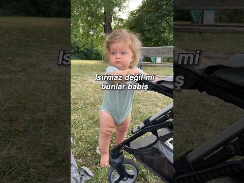 Kaslarını görünce bulaşmadılar!