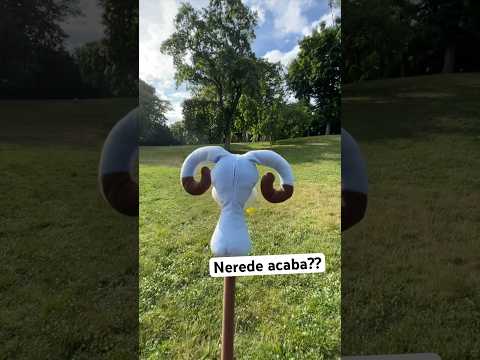 Yeni Oyun arkadaşını arıyor