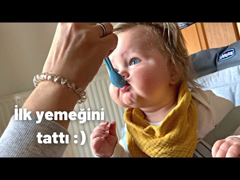 AVUSTURYA'daki köy hayatımıza geri döndük