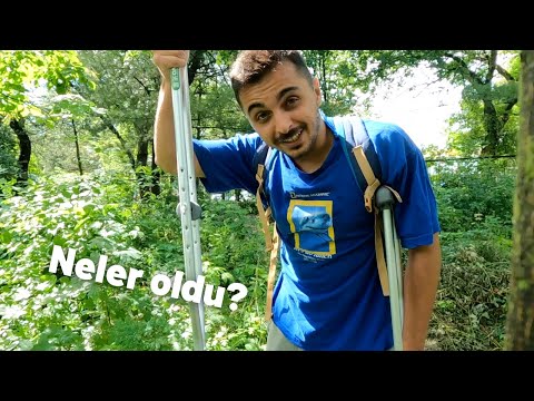 Vlog çekmeyi bıraktım mı?