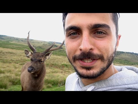 Dünyanın sonu bizi şaşırttı! (bunu beklemiyorduk)