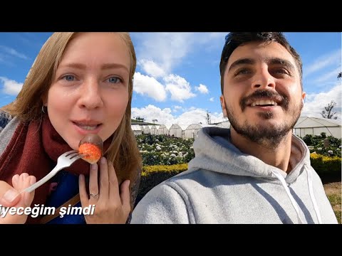 Sri Lanka’da Karadeniz varmış! Bakın nasıl bir yer