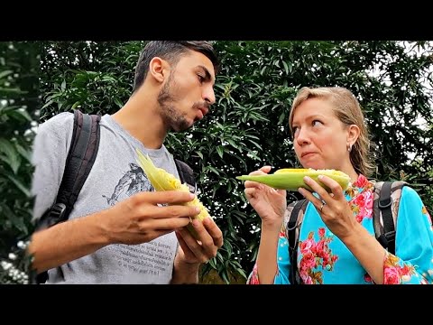 Enerji Emiciler iş başında