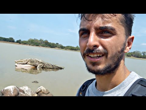 Denedim, Başarısız Oldum!