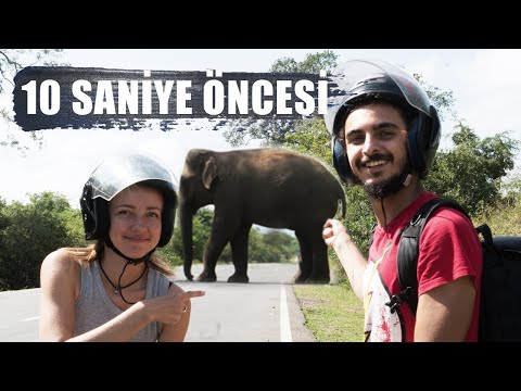 VLOG: Motorla Safari Yaptık! - (Fil Saldırdı)