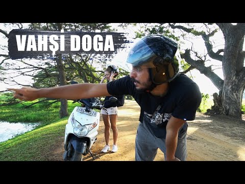 MEGA VLOG: Gölde Timsah Arıyoruz! - (Sri Lanka)