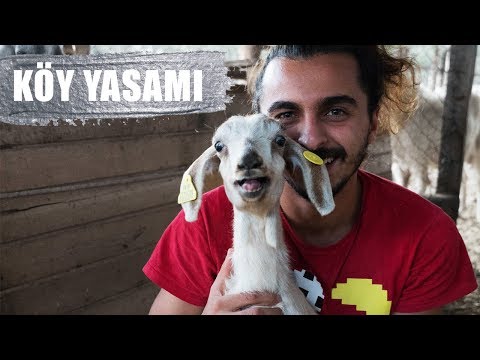 Neden ŞEHİR hayatı yerine KÖY hayatını tercih ettim ?